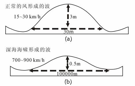 海啸是怎么形成的_海啸的形成原理