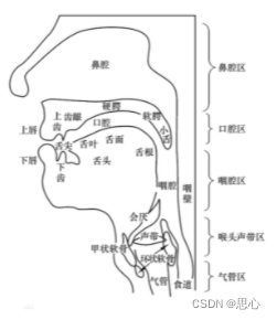 人体的发声原理和人耳的听觉原理