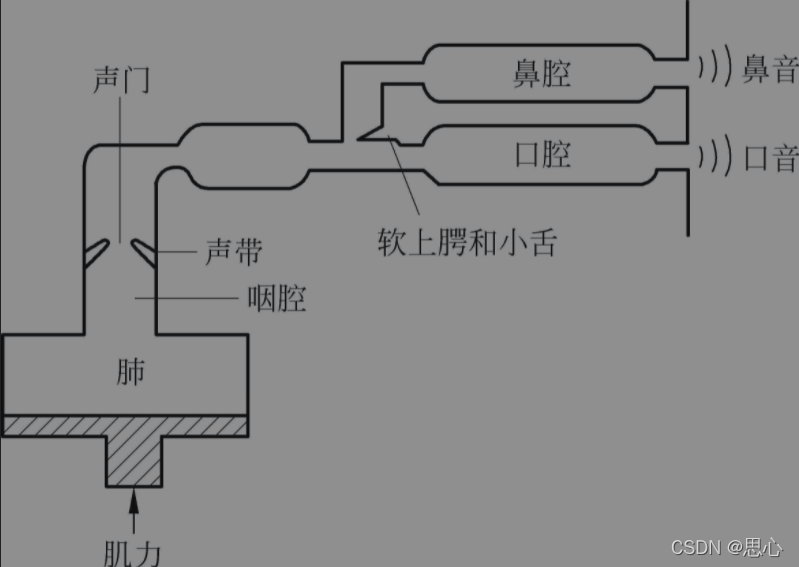 人体的发声原理和人耳的听觉原理