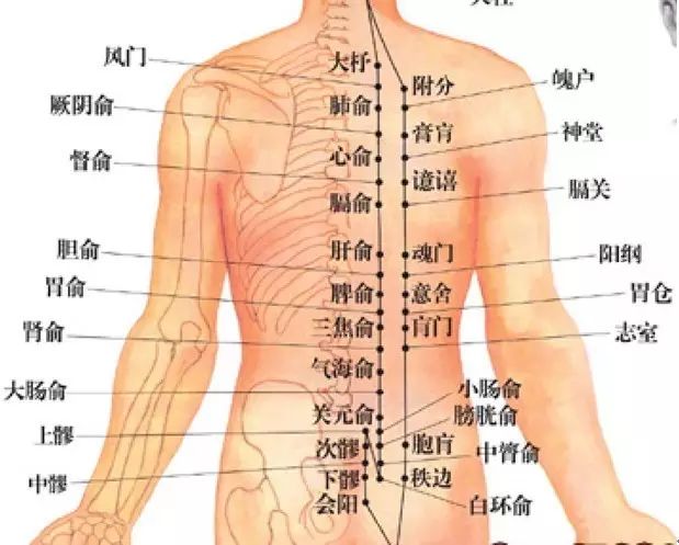 拔火罐的原理