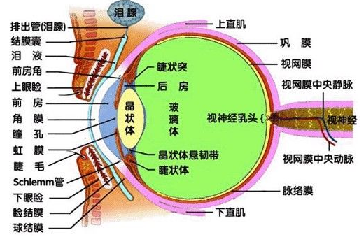 近视手术的原理