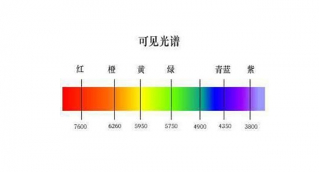 exideal小排灯原理 exideal小排灯副作用危害